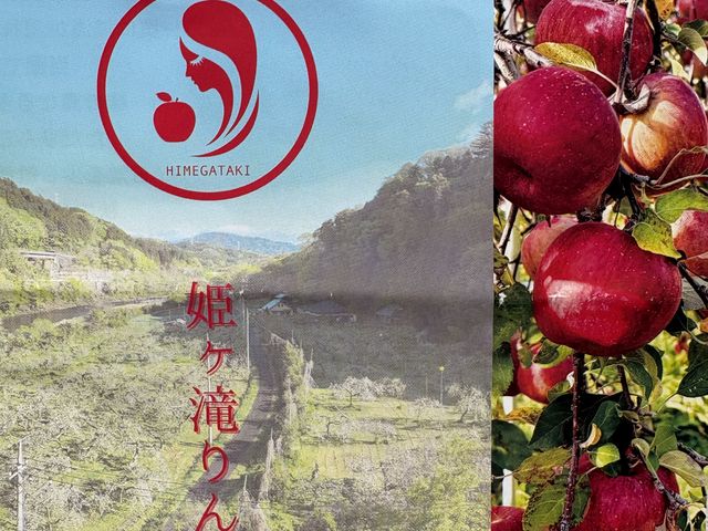 案内パンフレット表紙_姫ヶ滝りんご園