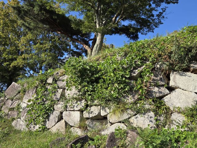なつみさんの小浜城址(下館)の投稿写真2