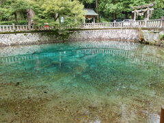 別府弁天池の写真1