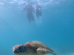 あこさんの宮古blueまほろばへの投稿写真2