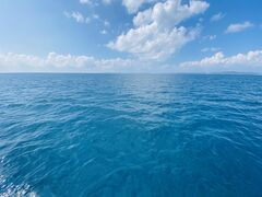 trcbiさんのONE marineへの投稿写真1