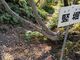 ああああさんの一宮城址(徳島県徳島市)への投稿写真4