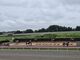 メイちさんの笠松競馬場への投稿写真4