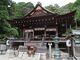 ひでちゃんさんの日牟禮八幡宮への投稿写真4