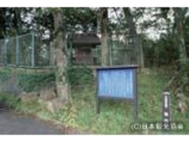 球状閃緑岩(菊面石)の写真1