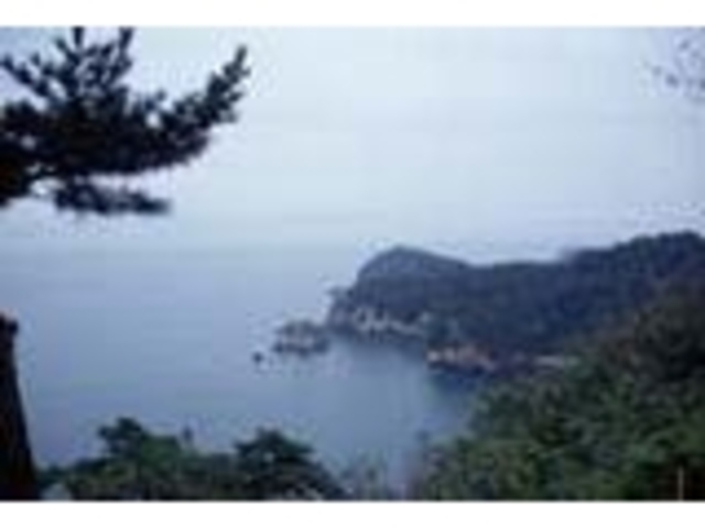 日本三大渓 嵯峨渓