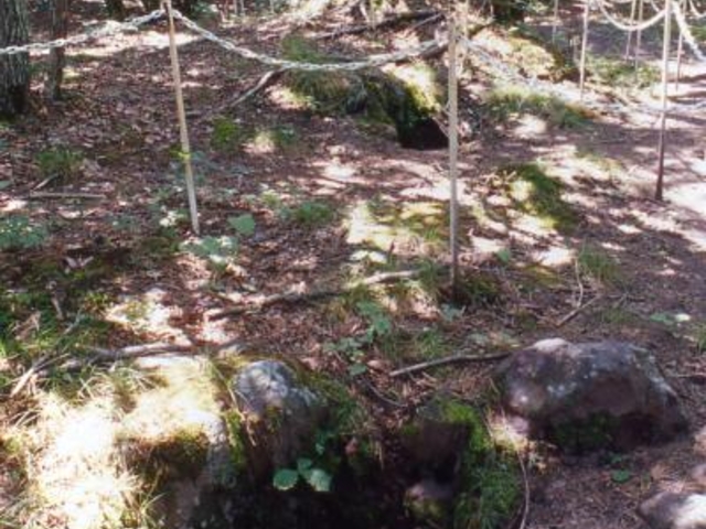 浅間山溶岩樹型群の写真1