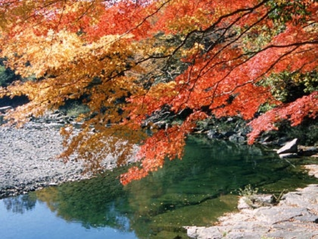 嵐山渓谷の紅葉