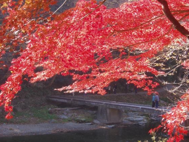 嵐山渓谷(塩沢冠水橋付近)_嵐山渓谷の紅葉