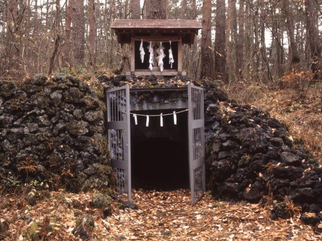 吉田胎内樹型の写真1