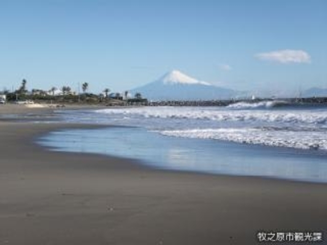 相良海岸_相良海岸