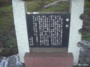 知内町の姥杉の写真2