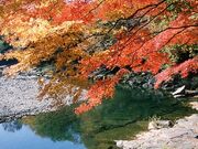 嵐山渓谷の紅葉の写真1