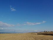 内灘砂丘の写真1