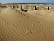 内灘砂丘の写真2