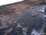 神鍋溶岩流の写真1