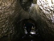 稲葉洞の写真2