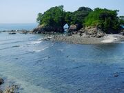 樫西海岸の写真1