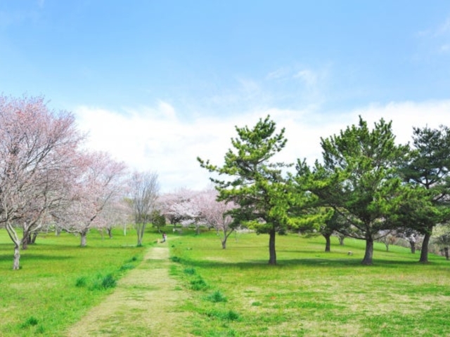 大木囲貝塚の写真1