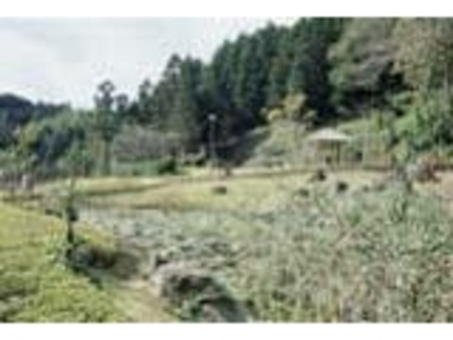 黄金山産金遺跡の写真1