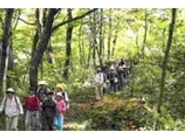 大里峠(越後米沢街道十三峠)の写真1