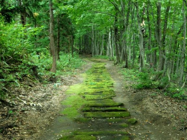 黒沢峠(越後米沢街道十三峠)の写真1