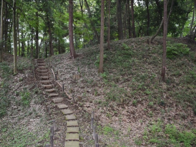 児山城跡_児山城跡