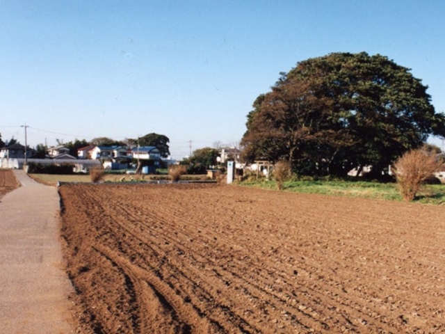 藤崎堀込貝塚の写真1