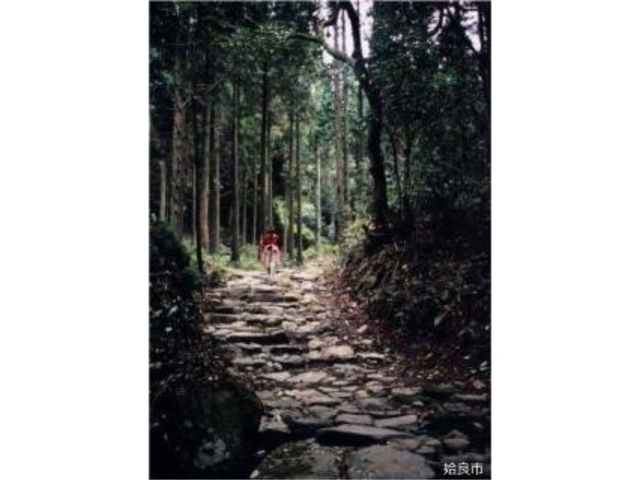 大口筋白銀坂(国指定史跡)の写真1