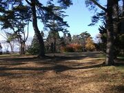 二子城跡の写真1