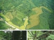 黄金山産金遺跡の写真2