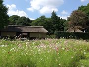 彦部家住宅の写真3