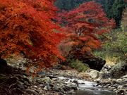 上州姫街道の写真1