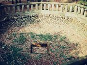 堀兼之井の写真1