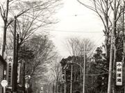 青梅街道(成木街道)の写真1