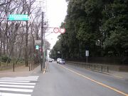 府中街道(所沢街道)の写真1