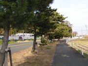 旧東海道の写真1