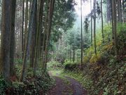 伊勢本街道の写真1