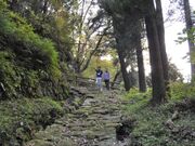 豊後街道の写真1