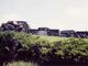 八幡山古墳の写真3