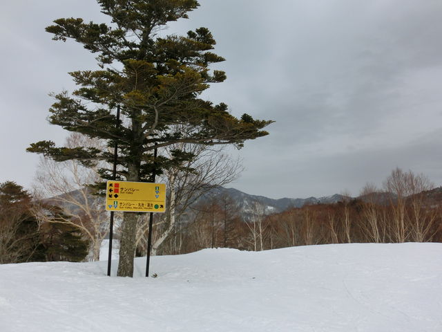志賀高原中央エリア「サンバレースキー場」