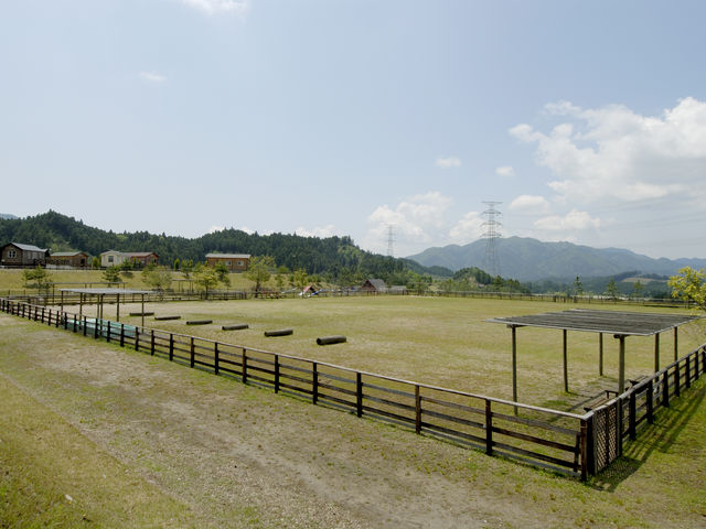 ダイヤモンド滋賀
