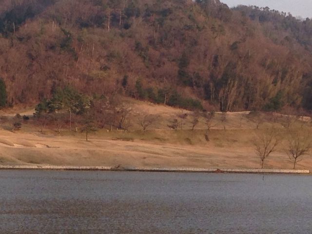 久美浜カンツリークラブの写真3