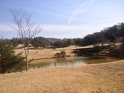 ロペ倶楽部の写真1