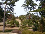 佐倉カントリー倶楽部の写真2