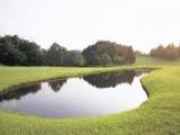 千葉夷隅ゴルフクラブの写真2