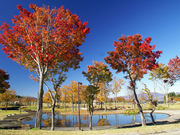 ニュー・グリーンピア津南の写真3