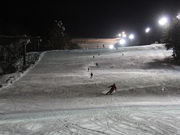 いいづなリゾートスキー場の写真3