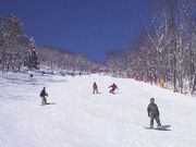 めがひらスキー場の写真2