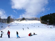 めがひらスキー場の写真3
